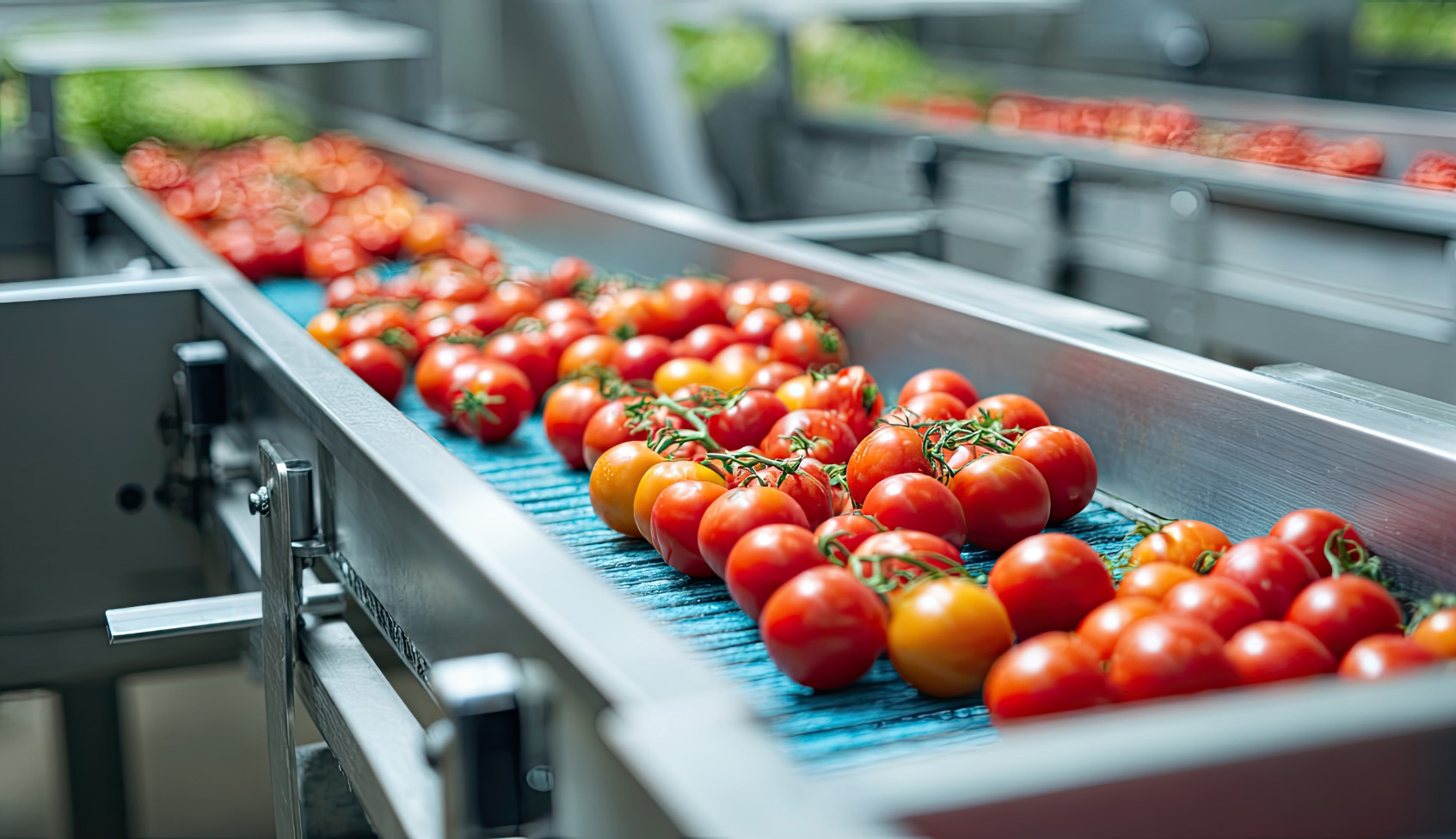 SALSA TEKSAŃSKA NA OSTRO