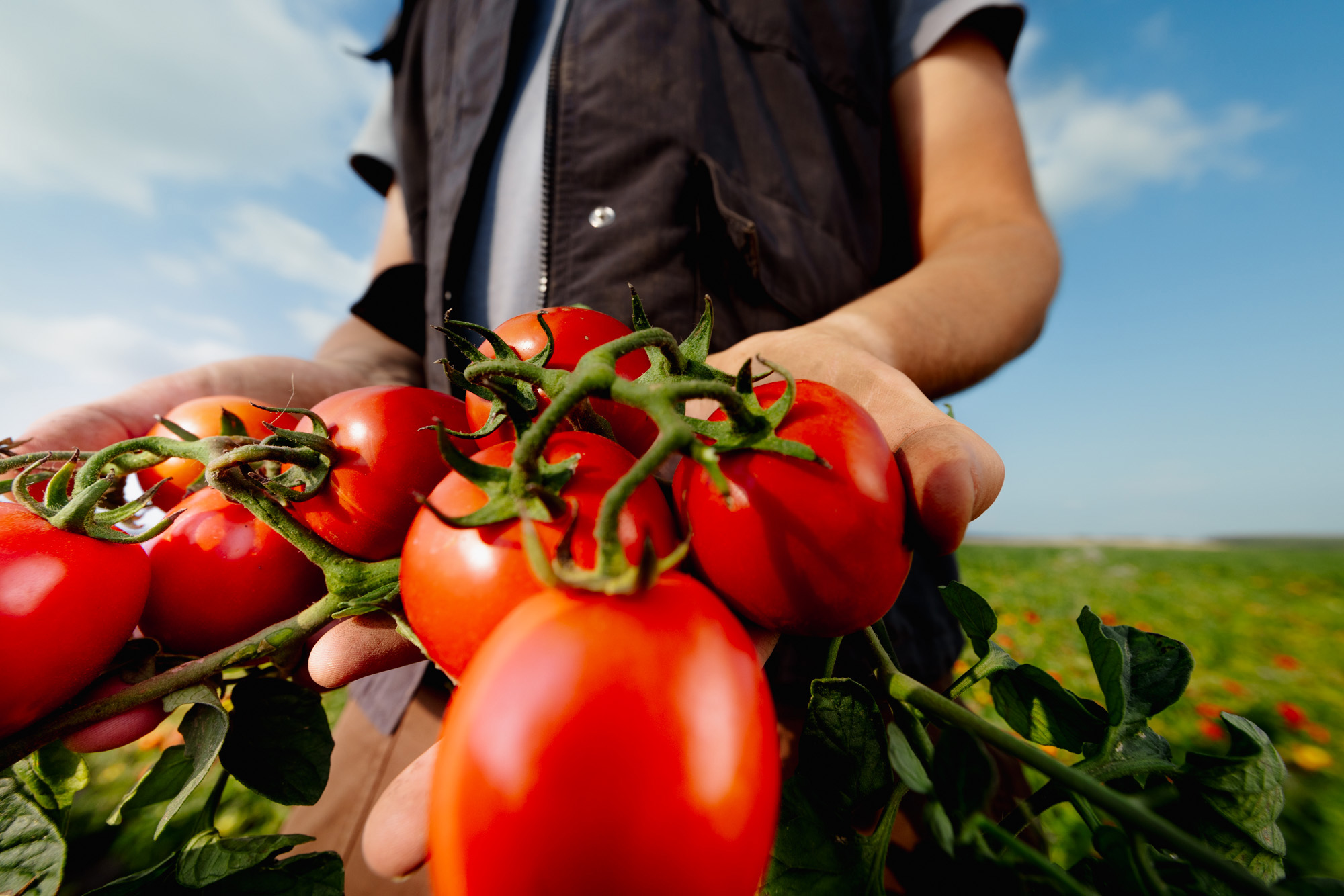 PULPETY W SOSIE POMIDOROWYM